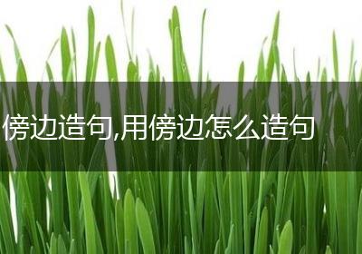 傍边造句,用傍边怎么造句