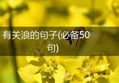 有关浪的句子(必备50句)