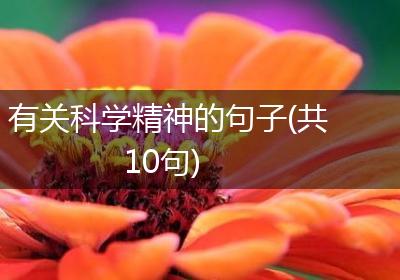 有关科学精神的句子(共10句)