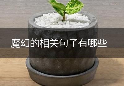 魔幻的相关句子有哪些