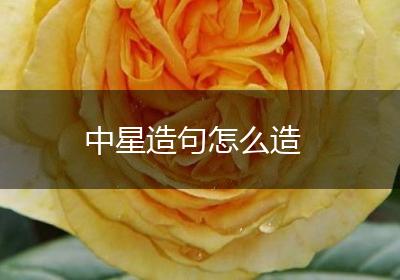 中星造句怎么造