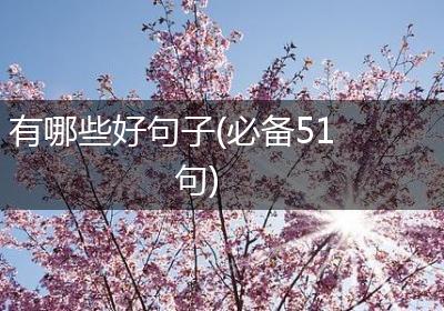 有哪些好句子(必备51句)