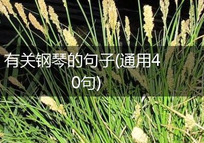 有关钢琴的句子(通用40句)