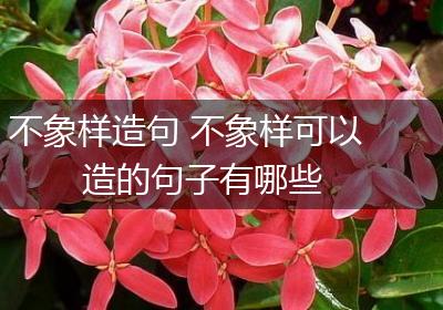 不象样造句 不象样可以造的句子有哪些