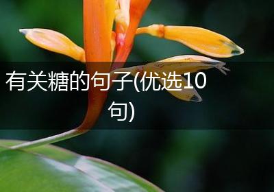 有关糖的句子(优选10句)