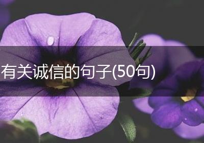 有关诚信的句子(50句)
