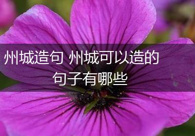 州城造句 州城可以造的句子有哪些