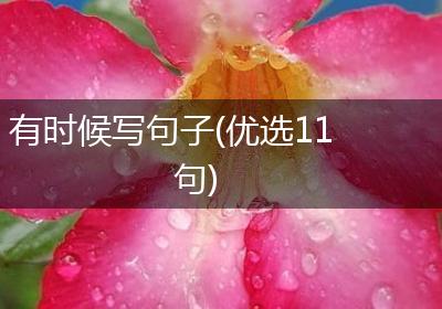有时候写句子(优选11句)