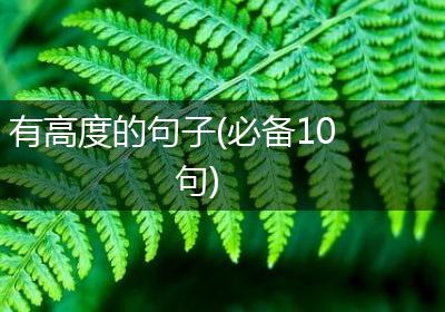有高度的句子(必备10句)