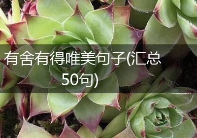 有舍有得唯美句子(汇总50句)