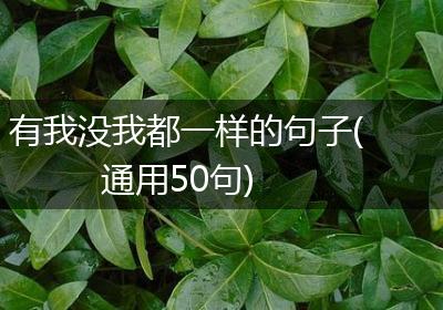 有我没我都一样的句子(通用50句)