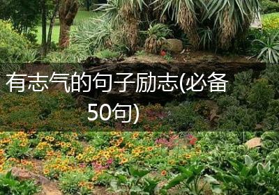 有志气的句子励志(必备50句)