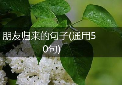 朋友归来的句子(通用50句)