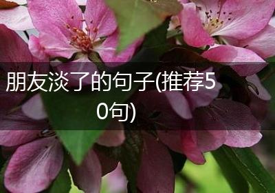朋友淡了的句子(推荐50句)