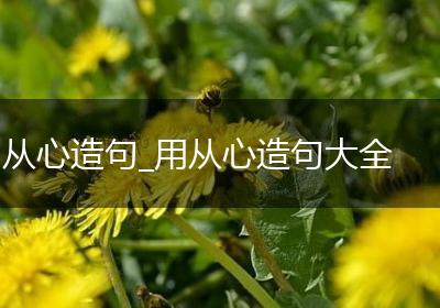 从心造句_用从心造句大全