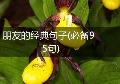 朋友的经典句子(必备95句)