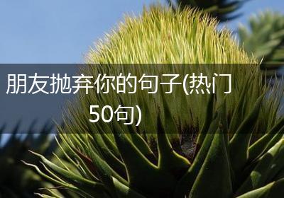 朋友抛弃你的句子(热门50句)