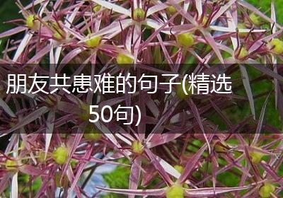 朋友共患难的句子(精选50句)