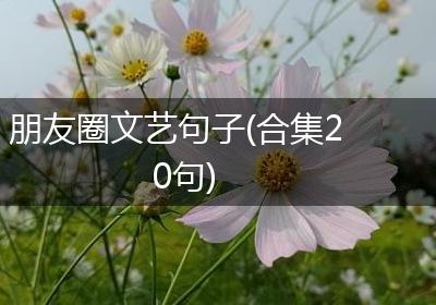 朋友圈文艺句子(合集20句)