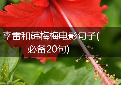 李雷和韩梅梅电影句子(必备20句)
