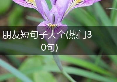 朋友短句子大全(热门30句)