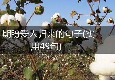 期盼爱人归来的句子(实用49句)