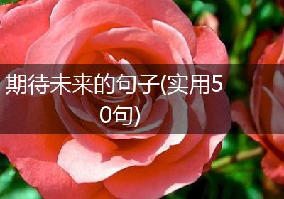 期待未来的句子(实用50句)