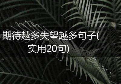 期待越多失望越多句子(实用20句)