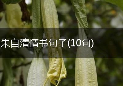 朱自清情书句子(10句)