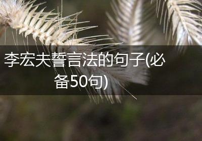 李宏夫誓言法的句子(必备50句)