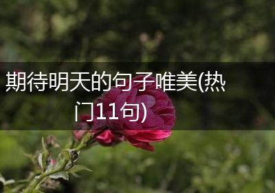 期待明天的句子唯美(热门11句)