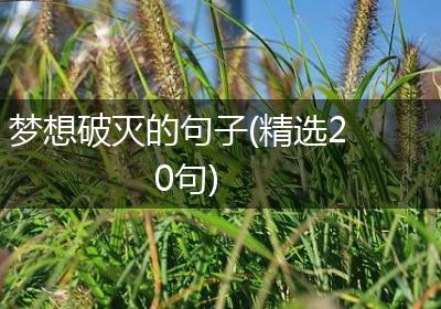 梦想破灭的句子(精选20句)