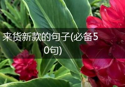 来货新款的句子(必备50句)