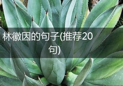 林徽因的句子(推荐20句)