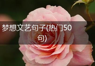 梦想文艺句子(热门50句)