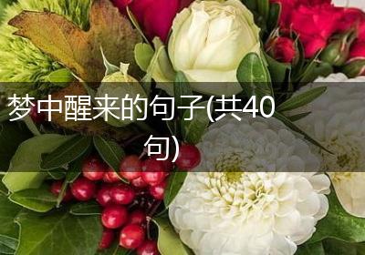 梦中醒来的句子(共40句)
