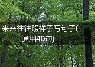 来来往往照样子写句子(通用40句)