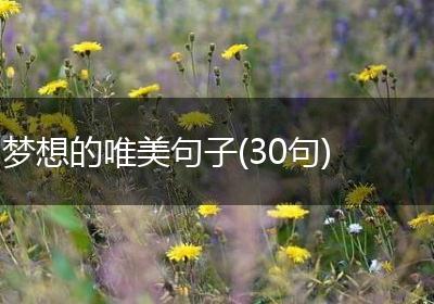 梦想的唯美句子(30句)