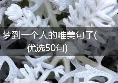 梦到一个人的唯美句子(优选50句)