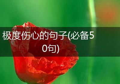 极度伤心的句子(必备50句)