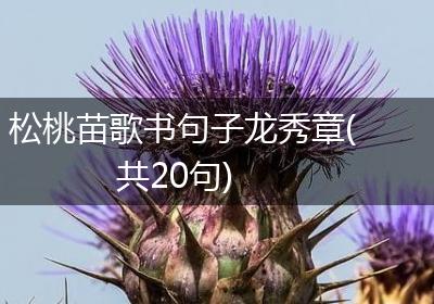 松桃苗歌书句子龙秀章(共20句)