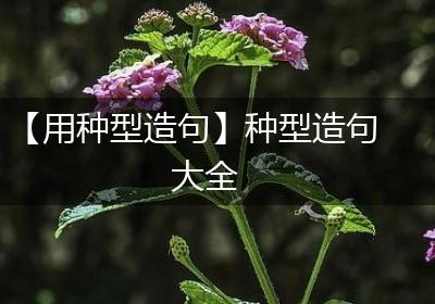 【用种型造句】种型造句大全