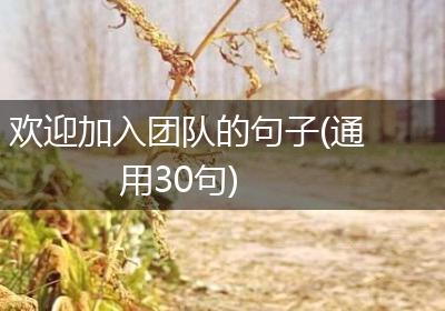 欢迎加入团队的句子(通用30句)
