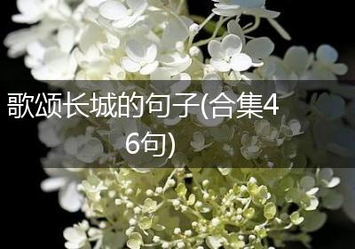 歌颂长城的句子(合集46句)