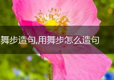 舞步造句,用舞步怎么造句