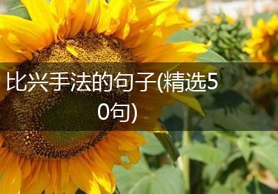 比兴手法的句子(精选50句)