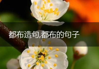 都布造句,都布的句子