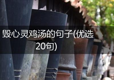 毁心灵鸡汤的句子(优选20句)