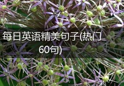 每日英语精美句子(热门60句)