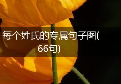 每个姓氏的专属句子图(66句)